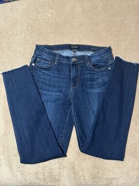 Judy Blue Skinny Jeans in Dark Blue Wash